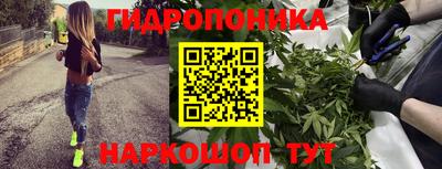 apvp Жуковский