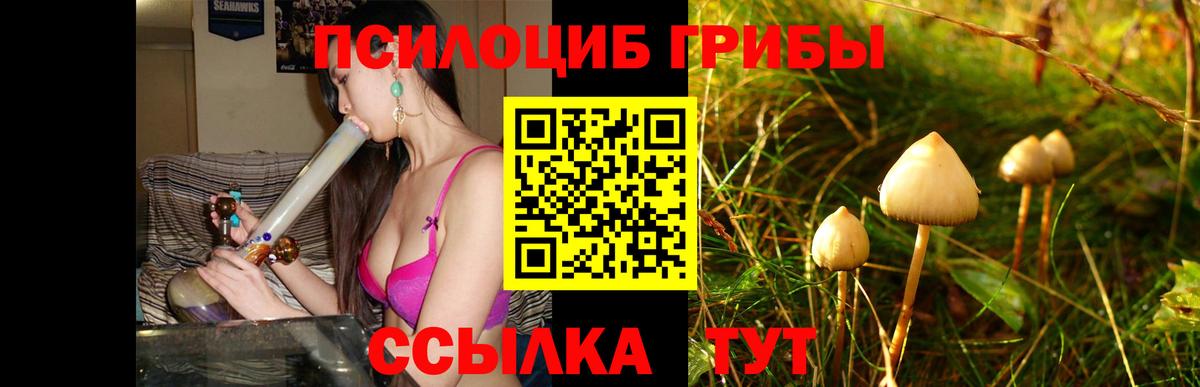 Псилоцибиновые грибы прущие грибы  купить наркотики сайты  Михайловка  Вход с VPN 
